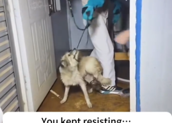 C2601014_One second later and this rescue would have failed #Timing #SaveLives