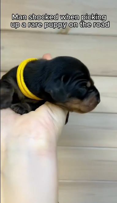 C2601018_This rescue proves how fast things can change #RealLife #SaveLives