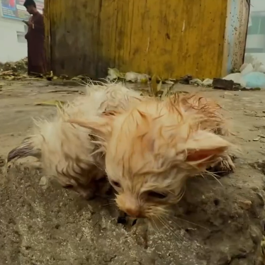 C2601023_The final move during this rescue mattered most #LastSecond #SaveLives