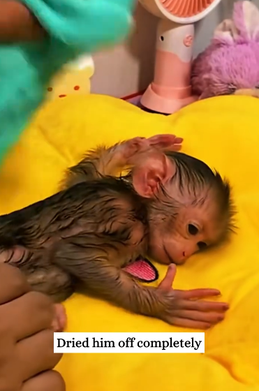 C2601025_This rescue moment changed everything instantly #InstantTurn #SaveLife