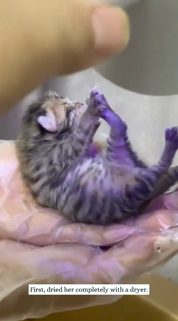 C2601026_Something almost went wrong halfway through #CloseMoment #Rescue