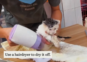 C2601027_The silence at the end says more than words #Emotional #SaveLives