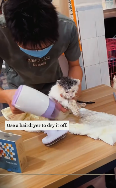 C2601027_The silence at the end says more than words #Emotional #SaveLives