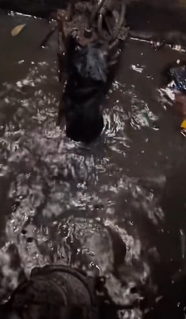 C2601028_This rescue made viewers stop and think #ThinkAboutIt #RescueStory