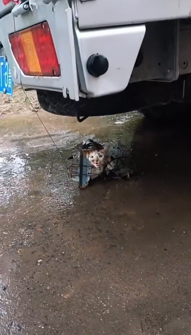 C2601029_One decision defined the entire rescue #KeyMoment #SaveLife