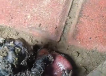 C2601030_This rescue ending left viewers divided #Controversial #RescueMoment