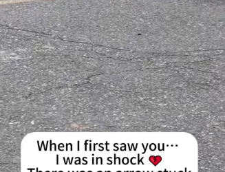 C2601004_Something unexpected changed the rescue instantly #SuddenTurn #SaveLives