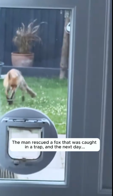 C2601005_The final seconds of this rescue surprised everyone #WatchTillEnd #Rescue