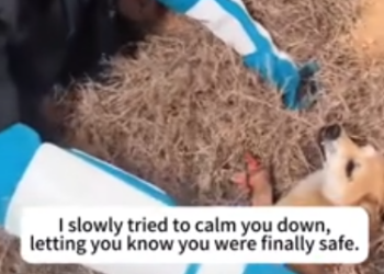 C2601007_One small detail nearly ruined everything #CloseCall #SaveLife