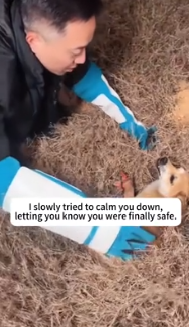 C2601007_One small detail nearly ruined everything #CloseCall #SaveLife