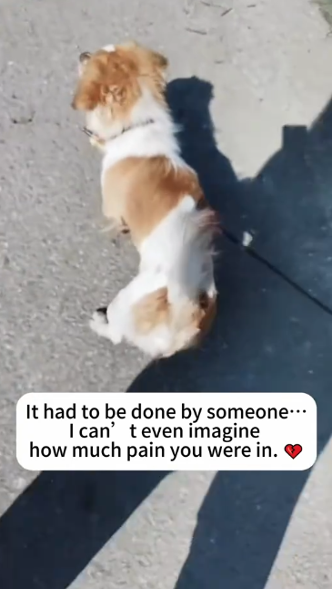 C2601008_This rescue moment is harder to watch than expected #Emotional #RescueMoment