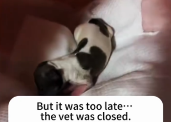 C2601010_this rescue decision split the comment section #Debate #RescueStory