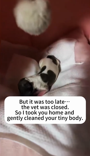 C2601010_this rescue decision split the comment section #Debate #RescueStory