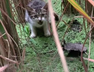 C1302010_A situation that surprised them all