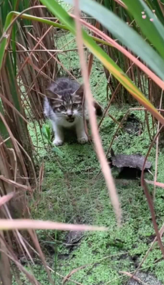 C1302010_A situation that surprised them all