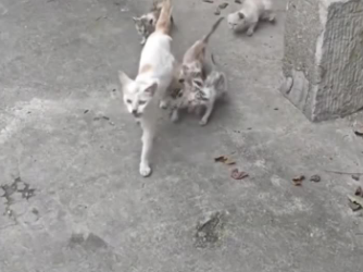 C1302012_No one saw this coming