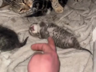 C1302016_A small moment with a big impact