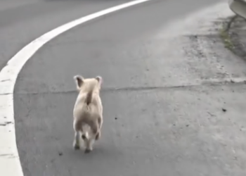 C1302017_When everything suddenly shifted