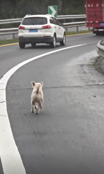 C1302017_When everything suddenly shifted