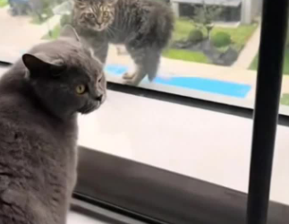 C1302018_The silence said it all