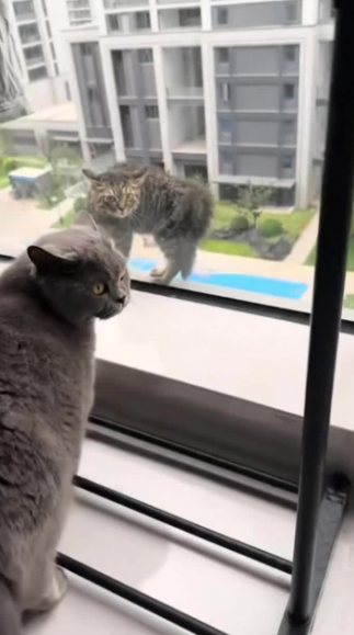 C1302018_The silence said it all