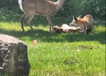 C1302019_A decision that changed everything