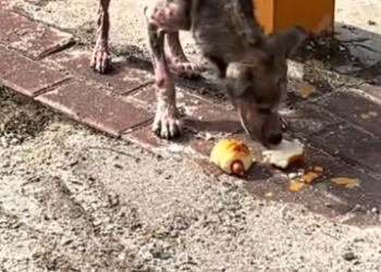 C1302003_A story that changed everything