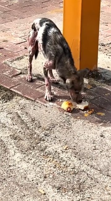 C1302003_A story that changed everything