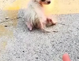 C1302020_What really happened that night