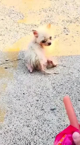 C1302020_What really happened that night