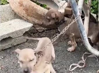 C1302021_The moment everything fell into place