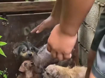 C1302023_What happened in just a few seconds