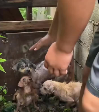 C1302023_What happened in just a few seconds