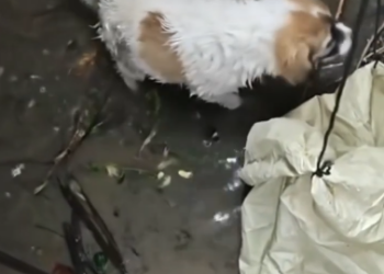 C1302024_The unexpected choice that altered everything