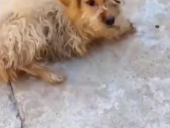 C1302027_When the situation took a sudden twist