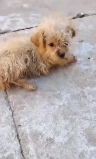 C1302027_When the situation took a sudden twist