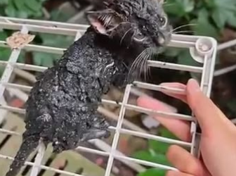 C1302001_The moment no one expected