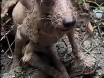 C1302005_The day everything felt different