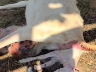 C1302006_An unexpected turn of events