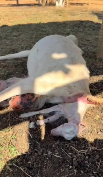 C1302006_An unexpected turn of events