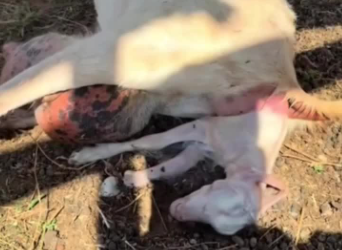 C1302006_An unexpected turn of events