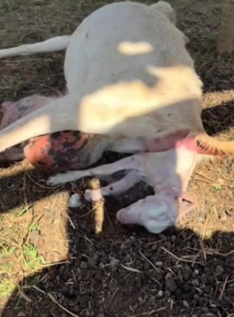 C1302006_An unexpected turn of events