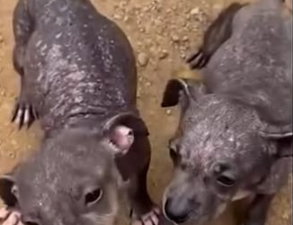 C1302007_A moment that left everyone speechless