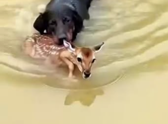 C1302008_Things did not go as planned