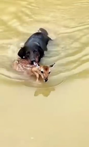 C1302008_Things did not go as planned