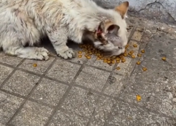 C1302009_The scene no one was ready for